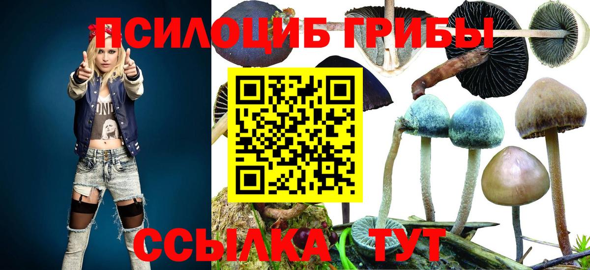 Галлюциногенные грибы Psilocybine cubensis Добрянка