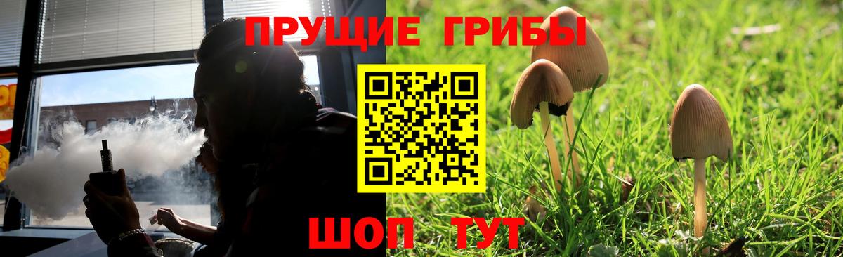 Галлюциногенные грибы мицелий  Вход с VPN  Галлюциногенные грибы MAGIC MUSHROOMS  где купить наркоту  Добрянка 
